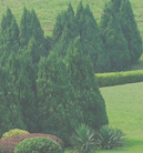 短信免费轰炸网页